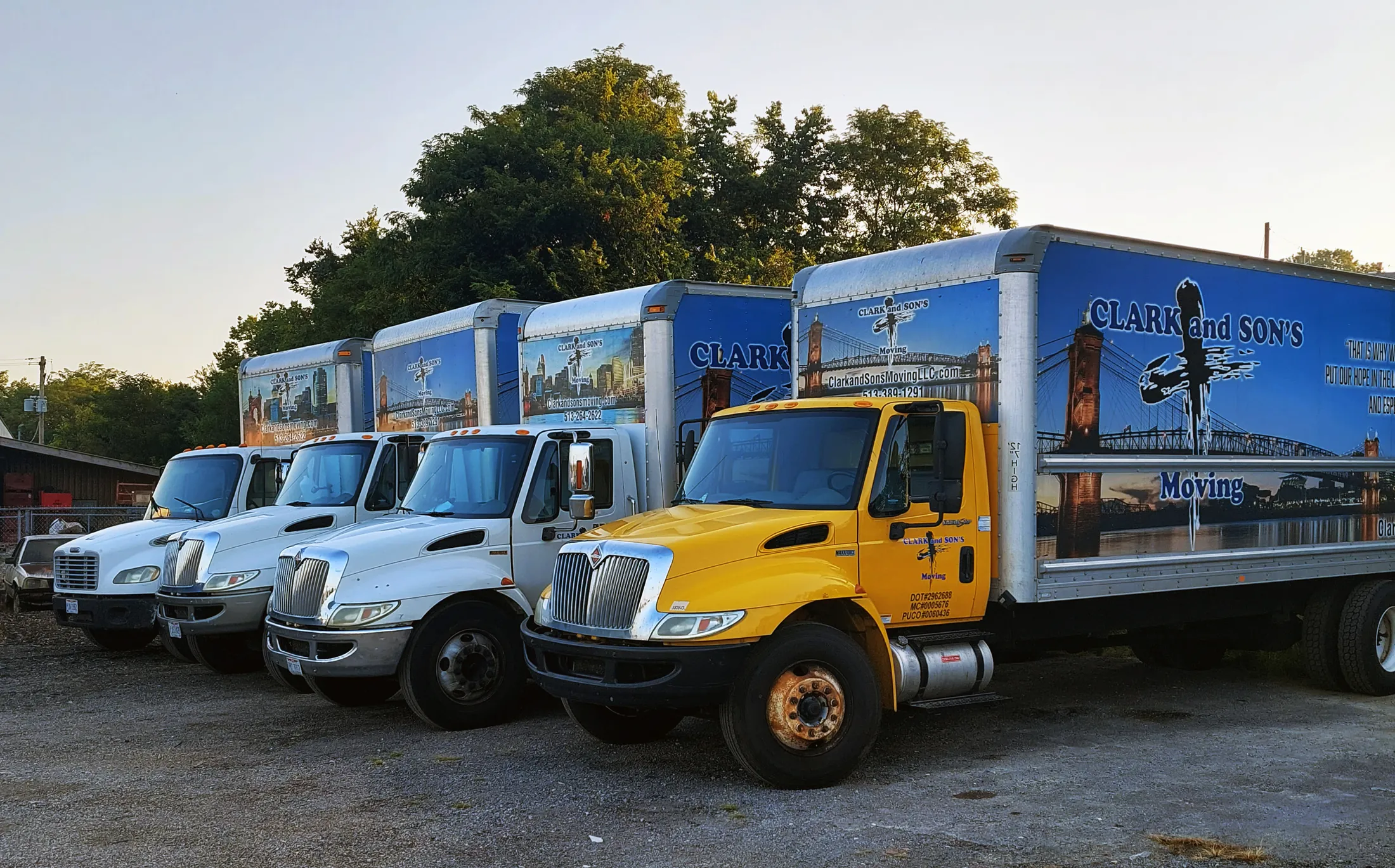 Four Clark and Sons Moving box trucks parked side by side, wrapped with the Cincinnati skyline and the Roebling Bridge